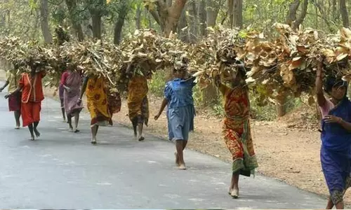 ഉന്നതി വേണ്ട, ഊര് തന്നെ മതി; ഉത്തരവിറങ്ങി; ‘പൈതൃകത്തിന്റെയും പരമ്പരാഗത ആചാരങ്ങളുടെയും ഭാഗമാണ് ഊര്’ ഉന്നതി വേണ്ട, ഊര് തന്നെ മതി; ഉത്തരവിറങ്ങി; ‘പൈതൃകത്തിന്റെയും പരമ്പരാഗത ആചാരങ്ങളുടെയും ഭാഗമാണ് ഊര്’