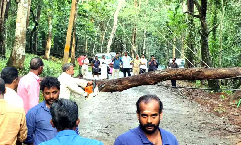 മുൾമുനയിൽ അലിമുക്ക്-അച്ചൻകോവിൽ ഗതാഗതം മുൾമുനയിൽ അലിമുക്ക്-അച്ചൻകോവിൽ ഗതാഗതം