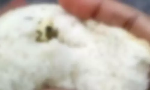 ബ്രഡിനുള്ളിൽ ചത്ത പല്ലികൾ; ബേക്കറിക്കെതിരെ പരാതിയുമായി വീട്ടമ്മ ബ്രഡിനുള്ളിൽ ചത്ത പല്ലികൾ; ബേക്കറിക്കെതിരെ പരാതിയുമായി വീട്ടമ്മ