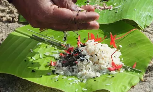 കർക്കടകവാവ് ബലിതർപ്പണം: ഹരിതചട്ടം പാലിക്കണം; സുരക്ഷ മുന്നറിയിപ്പുമായി ജില്ല ഭരണകൂടം കർക്കടകവാവ് ബലിതർപ്പണം: ഹരിതചട്ടം പാലിക്കണം; സുരക്ഷ മുന്നറിയിപ്പുമായി ജില്ല ഭരണകൂടം