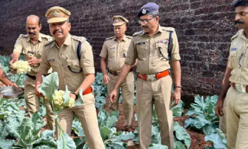Officials at the vegetable garden at Kannur Central Jail Officials at the vegetable garden at Kannur Central Jail