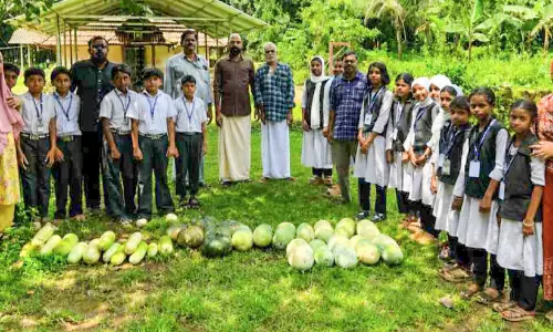 ക്ഷേ​ത്ര​വ​ള​പ്പി​ൽ വി​ള​യി​ച്ച പ​ച്ച​ക്ക​റി​ക​ൾ സ്‌​കൂ​ൾ ഉ​ച്ച​ഭ​ക്ഷ​ണ​ത്തി​ന്