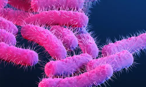 കോട്ടയത്ത് നാല് വയസ്സുകാരന് ഷിഗെല്ല