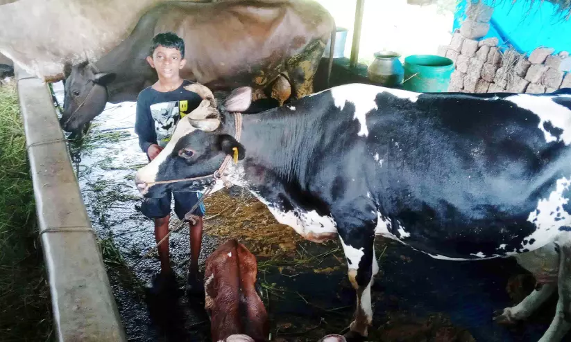 child farmer child farmer