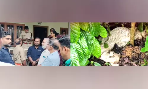 ചിരാലിൽ വീണ്ടും വന്യമൃഗ ആക്രമണം; നാട്ടുകാർ വനം ഉദ്യോഗസ്ഥരെ തടഞ്ഞു ചിരാലിൽ വീണ്ടും വന്യമൃഗ ആക്രമണം; നാട്ടുകാർ വനം ഉദ്യോഗസ്ഥരെ തടഞ്ഞു