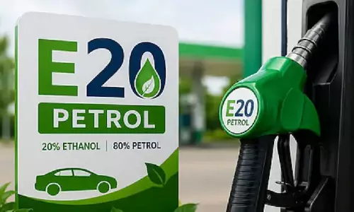 E20 Petrol