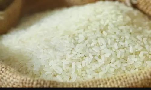 ഓണം സ്പെഷ്യൽ അരി, കിറ്റ് വിതരണം താളംതെറ്റുന്നു, കോഴിക്കോട്ട് ഇതുവരെ അരിയും കിറ്റും എത്തിയില്ല ഓണം സ്പെഷ്യൽ അരി, കിറ്റ് വിതരണം താളംതെറ്റുന്നു, കോഴിക്കോട്ട് ഇതുവരെ അരിയും കിറ്റും എത്തിയില്ല