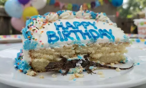 cake