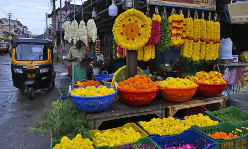 ഓണക്കാലത്ത് പൂവിപണിയിൽ വൻ വിലക്കയറ്റം; വിവിധ ജില്ലകളിലെ നിരക്കുകൾ ഇങ്ങനെ... ഓണക്കാലത്ത് പൂവിപണിയിൽ വൻ വിലക്കയറ്റം; വിവിധ ജില്ലകളിലെ നിരക്കുകൾ ഇങ്ങനെ...
