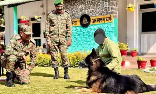Indian Army dog Tyson Indian Army dog Tyson