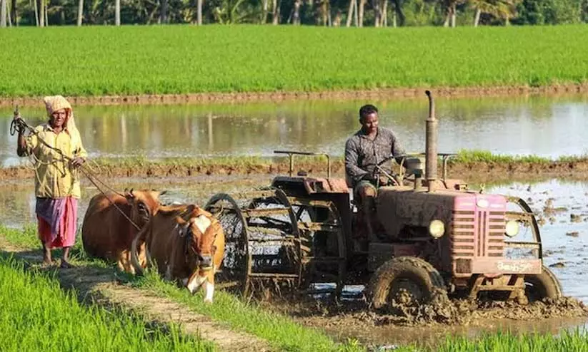 പുതുവർഷം പിറന്നു; ഓണത്തെ വരവേറ്റ് മലയാളികൾ, കേരളത്തിൽ കർഷക ദിനം പുതുവർഷം പിറന്നു; ഓണത്തെ വരവേറ്റ് മലയാളികൾ, കേരളത്തിൽ കർഷക ദിനം