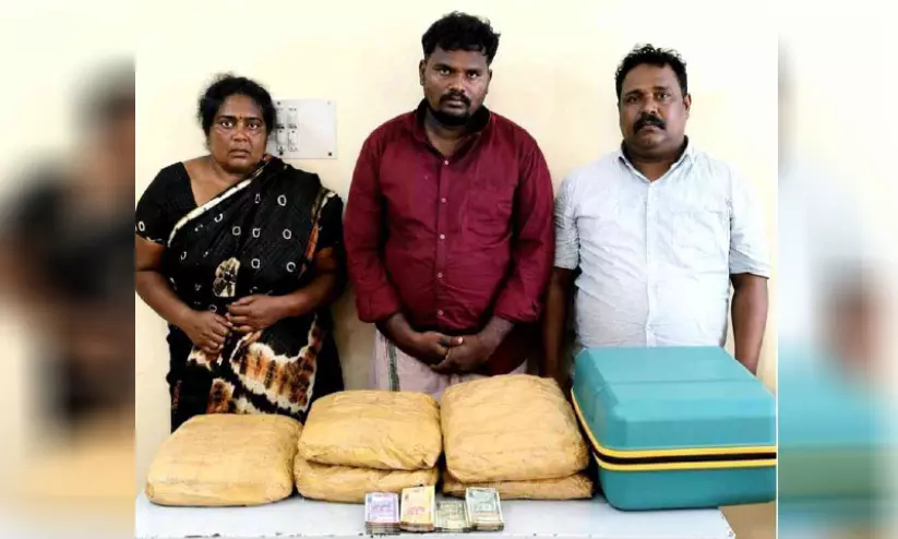 10 കിലോ കഞ്ചാവുമായി മൂന്നുപേർ അറസ്റ്റിൽ 10 കിലോ കഞ്ചാവുമായി മൂന്നുപേർ അറസ്റ്റിൽ