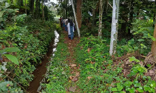 നീറമ്പുഴ നീർത്തട പദ്ധതിക്ക് അംഗീകരം നീറമ്പുഴ നീർത്തട പദ്ധതിക്ക് അംഗീകരം