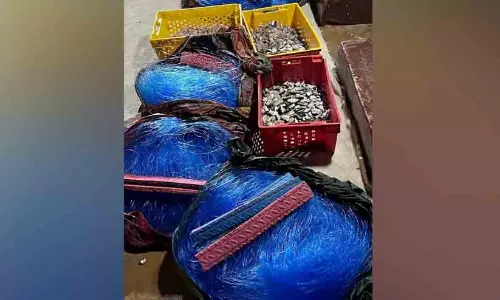 നിരോധിത വലകൾ ഉപയോഗിച്ച് മീൻപിടിത്തം; നാല് ബോട്ടുകൾ പിടിയിൽ നിരോധിത വലകൾ ഉപയോഗിച്ച് മീൻപിടിത്തം; നാല് ബോട്ടുകൾ പിടിയിൽ