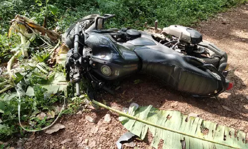 പാലപ്പുഴ കൂടലാട് കാട്ടാന ആക്രമണം; ബൈക്ക് നശിപ്പിച്ചു