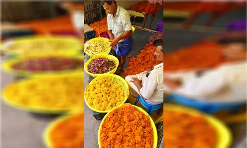 ഓണം വരവായി; നാടും നഗരവും ഉണർന്നു ഓണം വരവായി; നാടും നഗരവും ഉണർന്നു