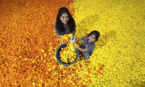 പൂ ​വി​പ​ണി​യുടെ ന​റു​മ​ണത്തിൽ അ​ത്തം പി​റ​ന്നു