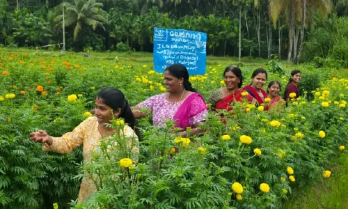 പൂക്കളും പച്ചക്കറികളുമൊരുക്കി കുടുംബശ്രീയുടെ പൂവിളി