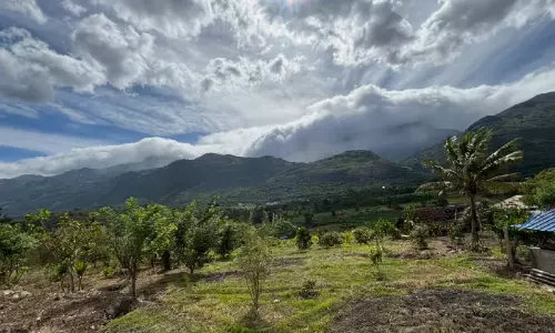 വിനോദസഞ്ചാര കേന്ദ്രങ്ങൾ ഉണരുന്നു