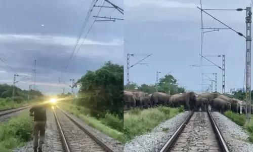 ‘നിൽക്കൂ..ഞങ്ങളൊന്ന് പോകട്ടേ..’ ട്രാക്ക് മുറിച്ചുകടക്കാൻ കാട്ടാനക്കൂട്ടം, കാത്തുനിന്ന് രാജധാനി എക്സ്പ്രസ്: അസമിൽനിന്ന് സഹജീവിസ്നേഹത്തിന്റെ ഹൃദ്യമായ കാഴ്ച