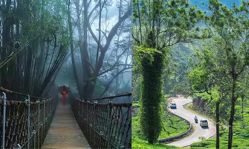 ഓണത്തെ വരവേൽക്കാനൊരുങ്ങി വയനാട്; സഞ്ചാരികൾക്കായി തുറന്ന് വിനോദസഞ്ചാര കേന്ദ്രങ്ങൾ