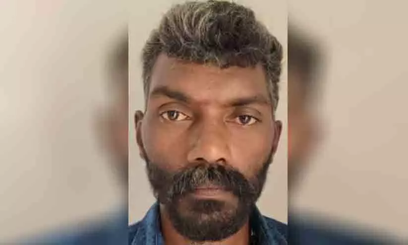 പീഡനം; പ്രതിക്ക് 29 വർഷം കഠിനതടവും 1,36,000 രൂപ പിഴയും പീഡനം; പ്രതിക്ക് 29 വർഷം കഠിനതടവും 1,36,000 രൂപ പിഴയും