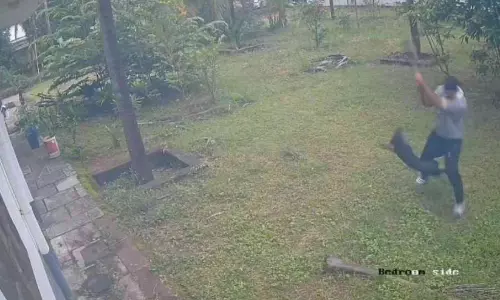 കാഞ്ഞങ്ങാട്ട് കുട്ടികൾ ഉൾപ്പെടെ ഏഴോളം പേർക്ക് പേപ്പട്ടിയുടെ കടിയേറ്റു