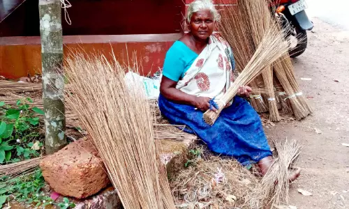 ചൂൽ വേണമാ... നല്ല അഴകാർന്ന പാട്ടിയമ്മ തമിഴ് ചൂൽ