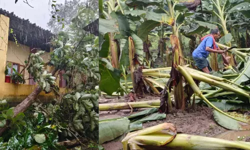 മഴയും കാറ്റും; വഴിക്കടവിൽ വ്യാപക നാശം മഴയും കാറ്റും; വഴിക്കടവിൽ വ്യാപക നാശം