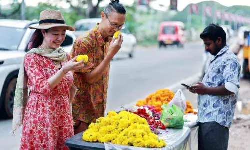 ജപ്പാനിൽനിന്ന് അതിഥികളെത്തി; ഇത്തവണ ഓണത്തിന് പൂക്കളമിട്ട് സദ്യയുണ്ണാൻ അറ്റ് സുഷിയും തത്സു കോയിയും ജപ്പാനിൽനിന്ന് അതിഥികളെത്തി; ഇത്തവണ ഓണത്തിന് പൂക്കളമിട്ട് സദ്യയുണ്ണാൻ അറ്റ് സുഷിയും തത്സു കോയിയും