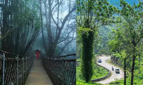 ഓണത്തെ വരവേൽക്കാനൊരുങ്ങി വയനാട്; സഞ്ചാരികൾക്കായി തുറന്ന് വിനോദസഞ്ചാര കേന്ദ്രങ്ങൾ ഓണത്തെ വരവേൽക്കാനൊരുങ്ങി വയനാട്; സഞ്ചാരികൾക്കായി തുറന്ന് വിനോദസഞ്ചാര കേന്ദ്രങ്ങൾ