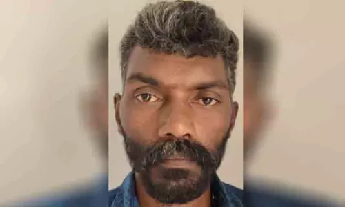 പീഡനം; പ്രതിക്ക് 29 വർഷം കഠിനതടവും 1,36,000 രൂപ പിഴയും
