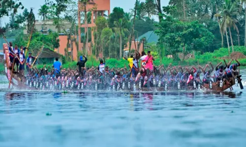 ‘കൊള്ളിമീൻ’ പോലെ ചുണ്ടനുകൾ...