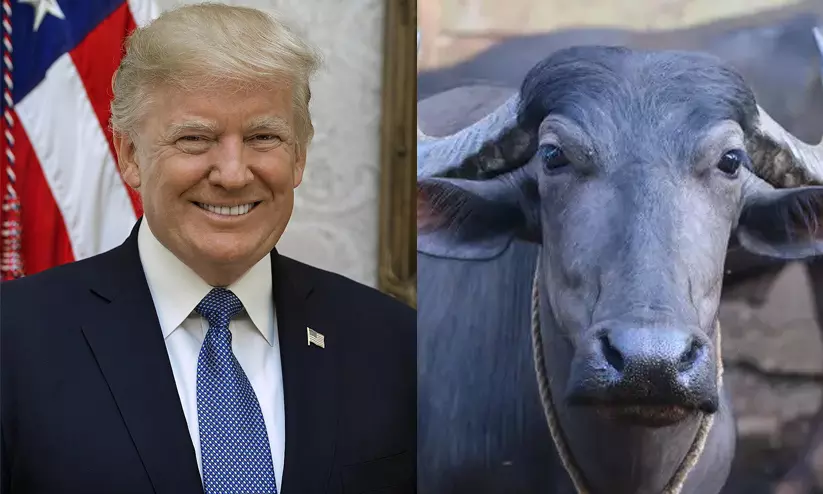 Donald Trump Donald Trump