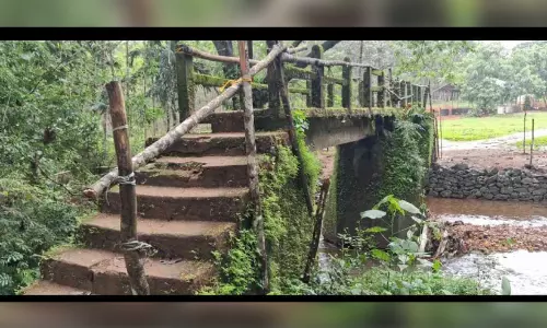 ആനക്കുളം നടപ്പാലം ജീർണാവസ്ഥയിൽ