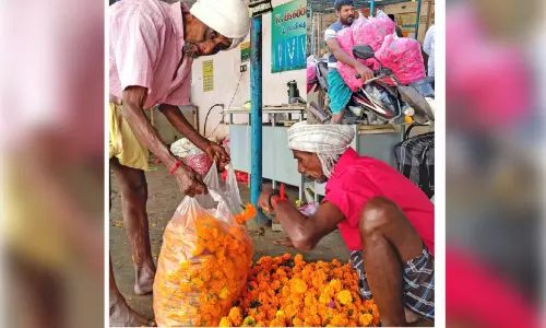 പൂവിളി ഇവിടെ, വിപണി അവിടെ; ഈ  ഓണത്തിന് തമിഴ് നാട്ടിലെ കർഷകർ വിറ്റത് പത്ത് ടൺ പൂക്കൾ
