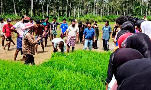 ആവേശമായി നാട്ടി ഉത്സവം