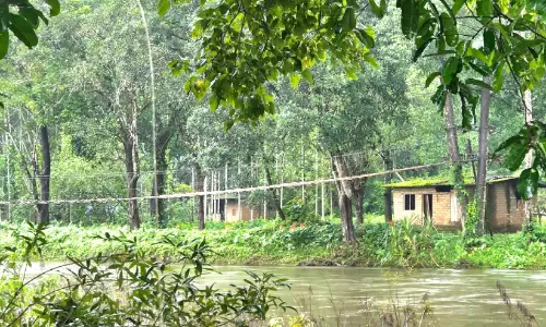മുട്ടുമാറ്റിയിലെ ചീങ്കണ്ണിപ്പുഴ കുടിയിറക്കിന് 39 ആണ്ട് ഓണക്കാലത്തും ഏകാന്തതയിൽ സഹോദരങ്ങൾ മുട്ടുമാറ്റിയിലെ ചീങ്കണ്ണിപ്പുഴ കുടിയിറക്കിന് 39 ആണ്ട് ഓണക്കാലത്തും ഏകാന്തതയിൽ സഹോദരങ്ങൾ