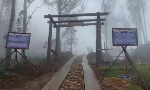 നീല വസന്തം ഇനി കൺനിറയെ കാണാം; ചൊക്രമുടി നീലക്കുറിഞ്ഞി ഉദ്യാനം സഞ്ചാരികൾക്കായി തുറന്നു