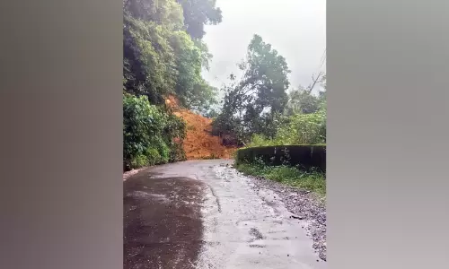 പാൽച്ചുരത്തിൽ വൻ മണ്ണിടിച്ചിൽ പാൽച്ചുരത്തിൽ വൻ മണ്ണിടിച്ചിൽ