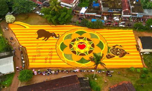 ഓണത്തിരക്കിലമർന്ന് നാട്; വമ്പൻ പൂക്കളമൊരുക്കി ഇരുളത്തുകാർ ഓണത്തിരക്കിലമർന്ന് നാട്; വമ്പൻ പൂക്കളമൊരുക്കി ഇരുളത്തുകാർ