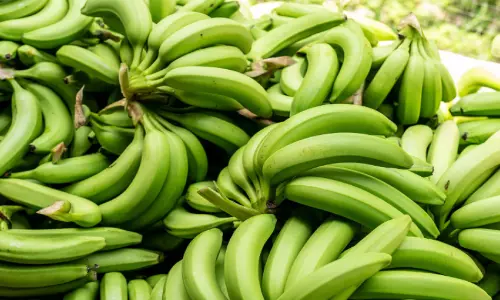 വ​ര​വ് കു​റ​ഞ്ഞു; നേ​ന്ത്ര​ക്കാ​യ വി​ല കു​തി​ക്കു​ന്നു
