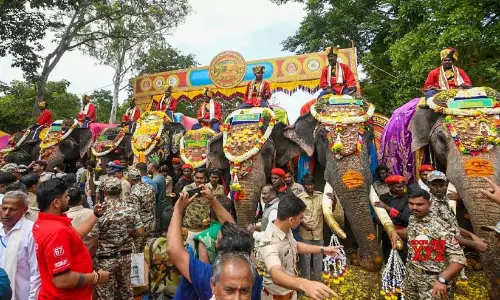 https://www.madhyamam.com/tags/mysuru-dasara