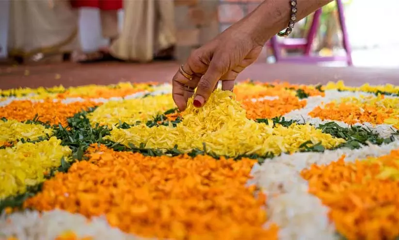 പൂക്കളം വെറുതെ കളയല്ലേ..! ആഘോഷം കഴിഞ്ഞാലും ഉണങ്ങിയ പൂക്കൾകൊണ്ട് ഉപകാരങ്ങളുണ്ട് പൂക്കളം വെറുതെ കളയല്ലേ..! ആഘോഷം കഴിഞ്ഞാലും ഉണങ്ങിയ പൂക്കൾകൊണ്ട് ഉപകാരങ്ങളുണ്ട്