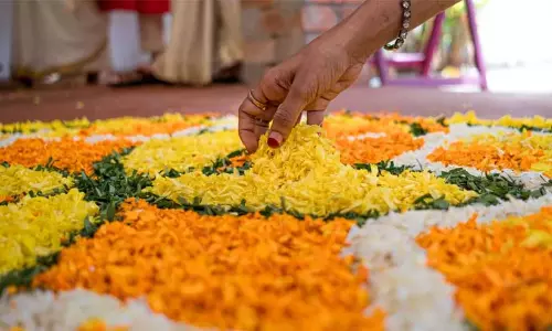 പൂക്കളം വെറുതെ കളയല്ലേ..! ആഘോഷം കഴിഞ്ഞാലും ഉണങ്ങിയ പൂക്കൾകൊണ്ട് ഉപകാരങ്ങളുണ്ട് പൂക്കളം വെറുതെ കളയല്ലേ..! ആഘോഷം കഴിഞ്ഞാലും ഉണങ്ങിയ പൂക്കൾകൊണ്ട് ഉപകാരങ്ങളുണ്ട്