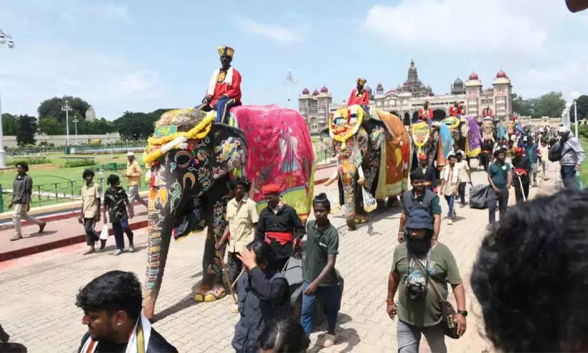 https://www.madhyamam.com/tags/mysuru-dasara https://www.madhyamam.com/tags/mysuru-dasara