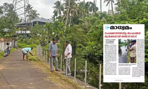 തോട് സംരക്ഷണവേലി നിർമാണം തുടങ്ങി