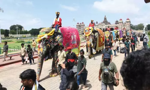 https://www.madhyamam.com/tags/mysuru-dasara