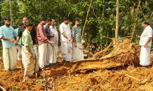 കനാൽ പുറമ്പോക്കിലെ മരംകൊള്ള: സൂചനകൾ ലഭിച്ചതായി പൊലീസ്
