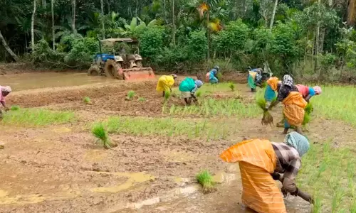 സ്ത്രീ തൊഴിലാളി ക്ഷാമം   പരിഹരിക്കാൻ ടാസ്‌ക് ഫോഴ്‌സ്